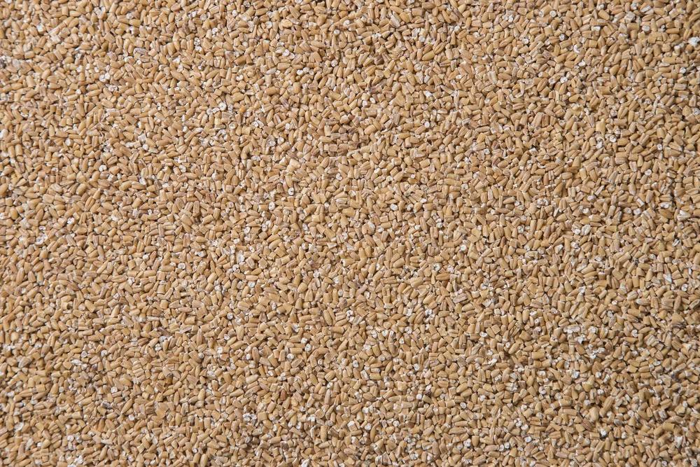 Salvado de Avena